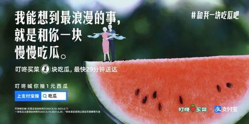 稻田吃瓜文案,稻田里的甜蜜诱惑