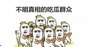 导演说吃瓜群众,吃瓜群众的幕后真相
