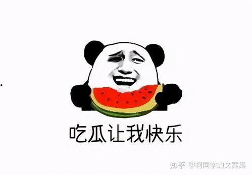吃瓜吃到自己,一场意外的成长之旅