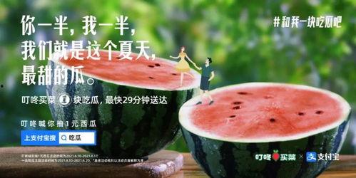 吃瓜快的文案,揭秘娱乐圈最新动态