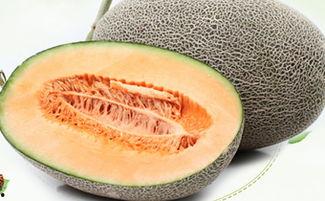 来事可以吃哈密瓜么,哈密瓜适宜人群与食用指南