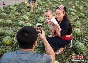 奇台吃瓜群众,揭秘当地独特生活风情