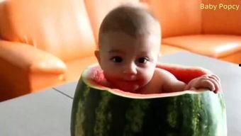 小朋友吃瓜吗,小朋友们的甜蜜瓜果时光