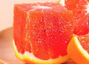 橙子闲谈吃瓜社,揭秘吃瓜社里的那些事儿